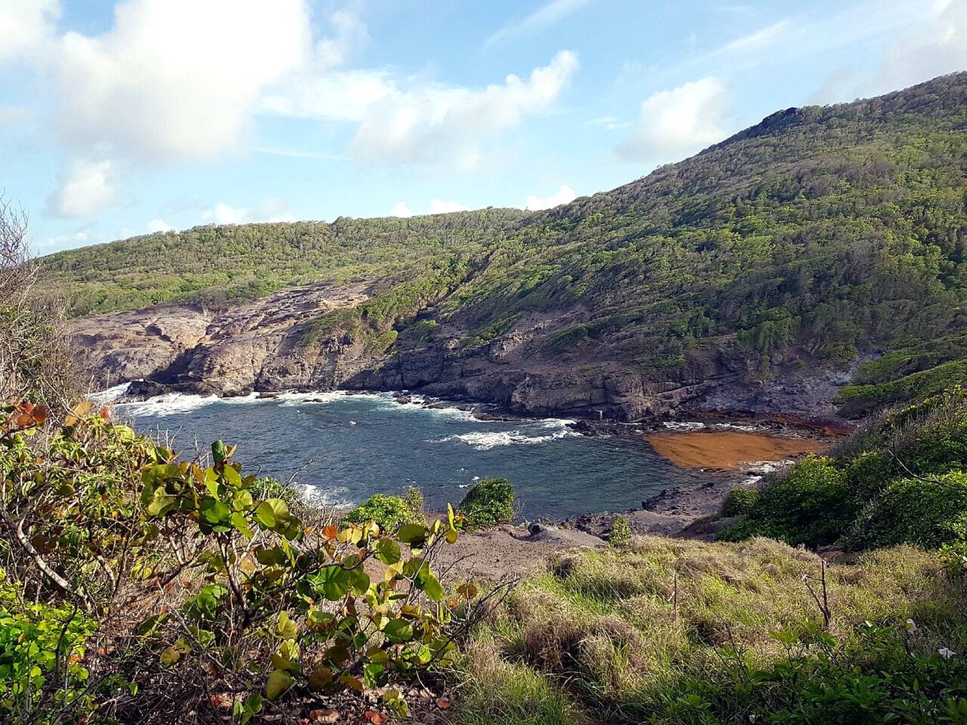 Presqu'île de la Caravelle, La Trinité (Martinique)