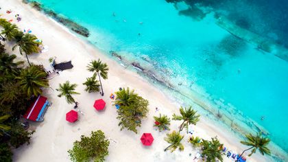 Quand partir en Martinique, mois par mois