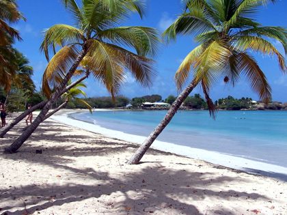 Les plus belles plages de la Martinique, le dossier